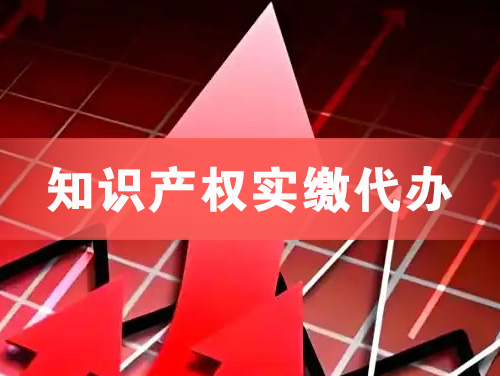 海珠知识产权实缴资本代办